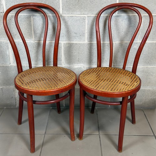 Coppia sedie stile thonet - coppia,